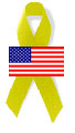 American Flag and Yellow Ribbon